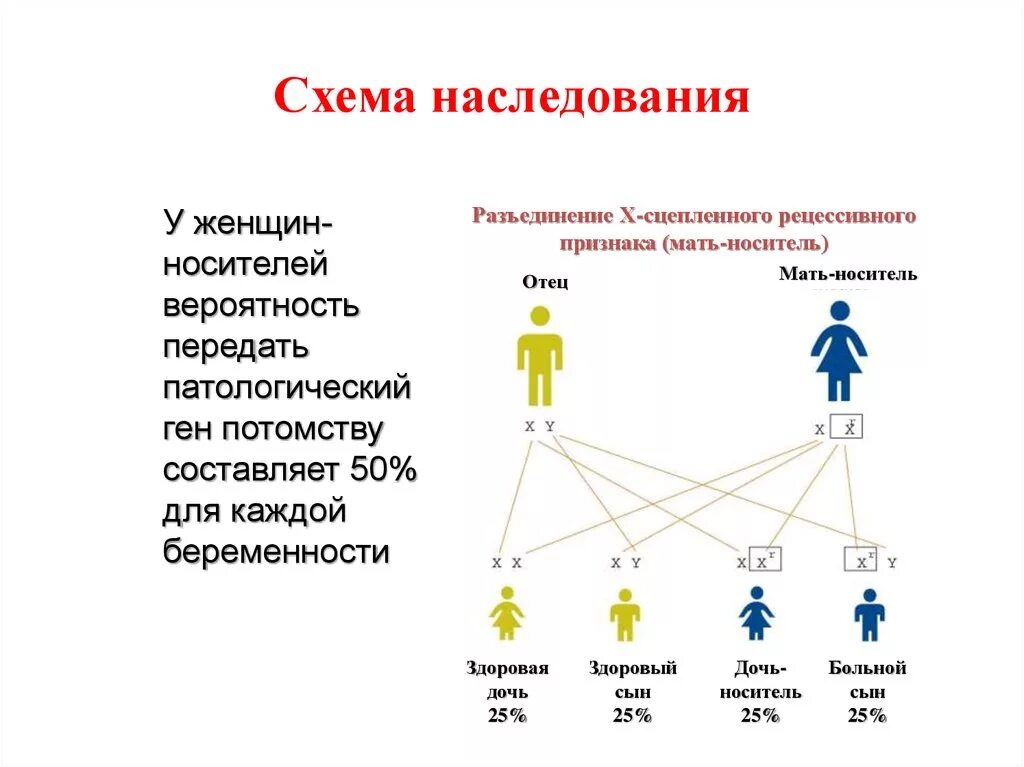 Наследство, вступление в наследство. Способы принятия наследства. Что делать если не вступил в наследство. Срок принятия наследства. Фактическое принятие наследства.