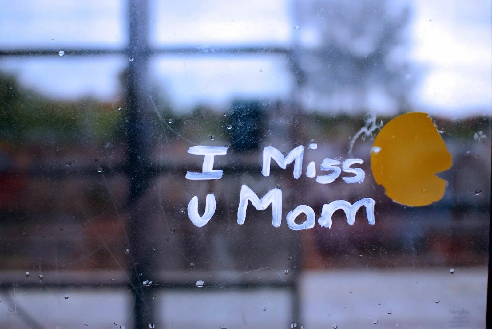 I Miss you mom. Miss mother. Miss you. I Miss you. Miss mom