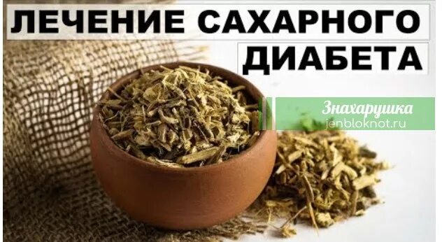 Народные средства лечения диабета. Народные средства от диабета. Сахарный диабет народный средство. Народные средства от сахарного диабета. Народные средства от сахарного диабета 2 типа.