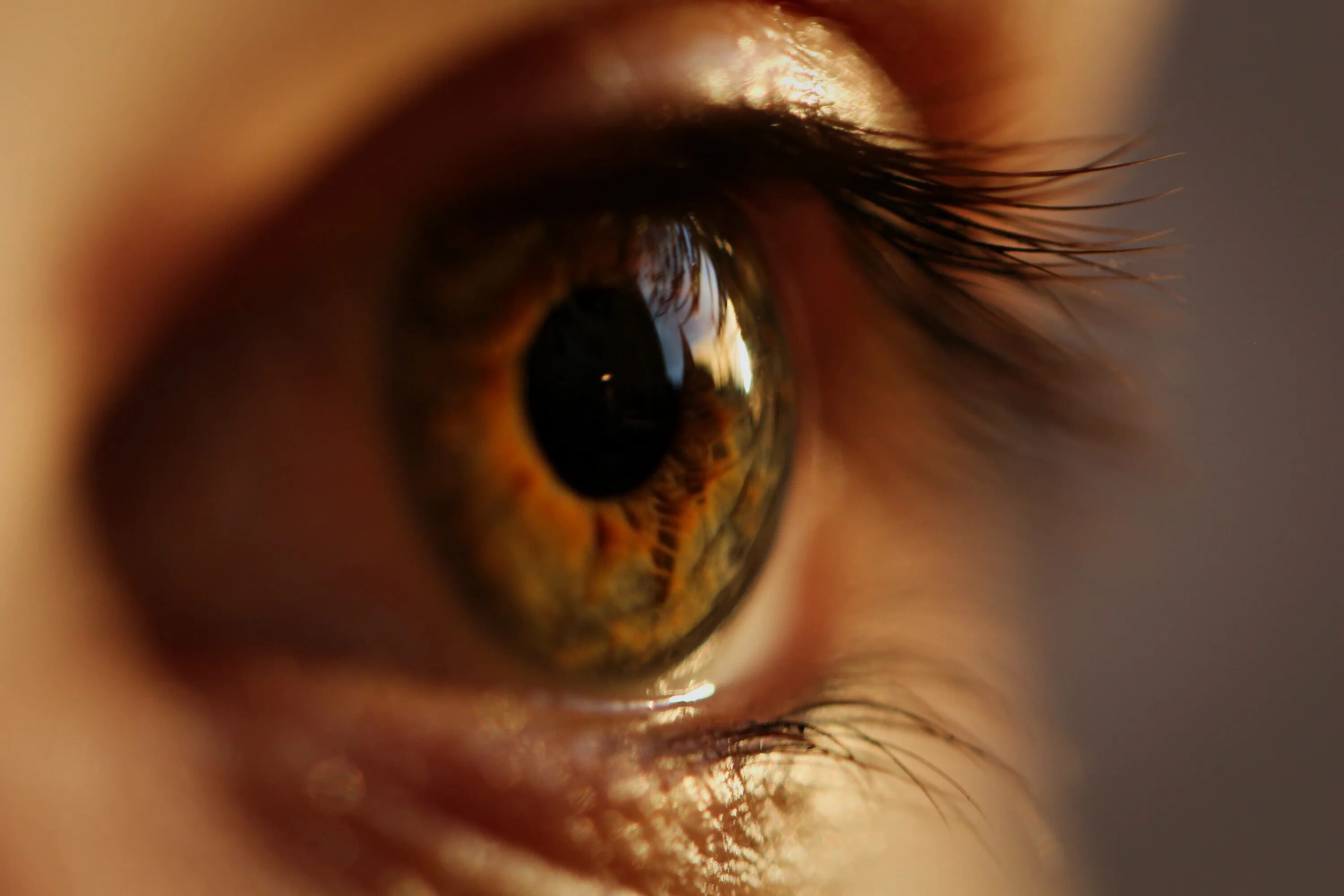 Куриная слепота 2. Гемералопия (куриная слепота). Глаза. Глаз крупно. Глаз и зрение.