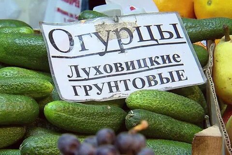Огурцы луховицкие описание