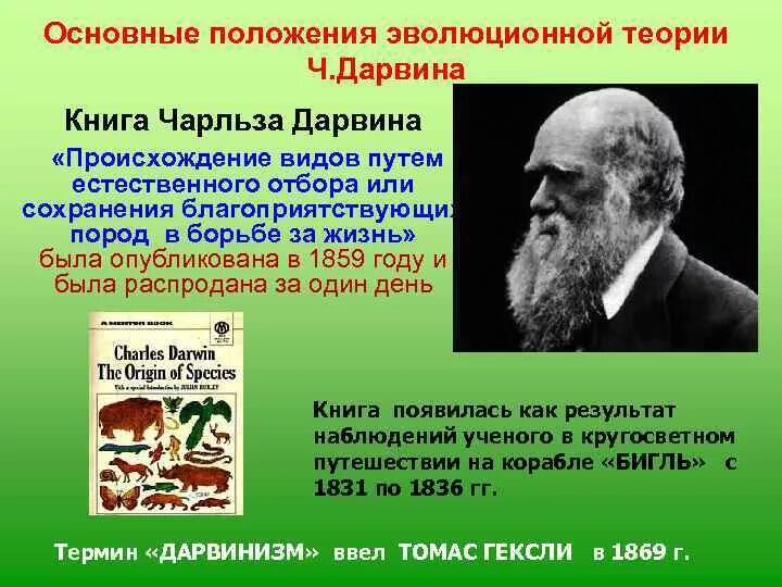 Ученые теория дарвина. Эволюционное учение Дарвина 1859. Основные теории Чарлза Дарвина. Ч Дарвин теория эволюции. Основные положения учения ч Дарвина.