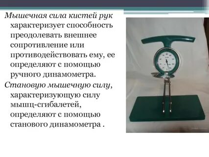 Динамометр становой