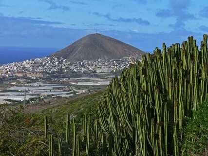 Made in canarias