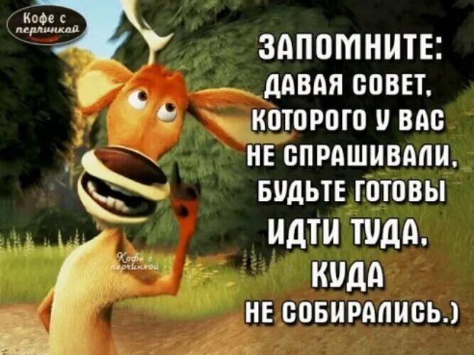 Очень туда