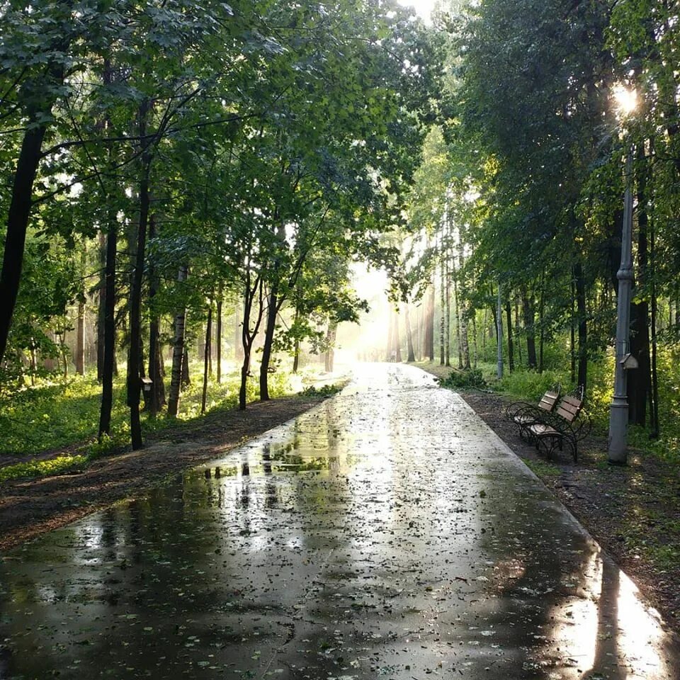 Иваново степаново. Парк Степанова Иваново. Парк Степаново Иваново. Парк культуры в Иваново. Иваново Смольная улица 3 парк Степанова.