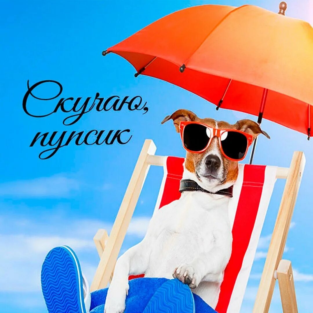 Ждун мультяшный. День жду. Жду на день рождения. Не переоценивай свое значение. День жду.