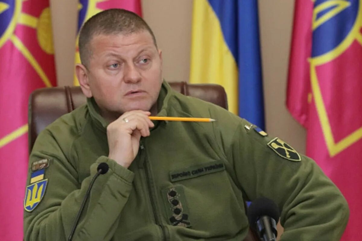 Валерий залужный биография личная жизнь Генерал Залужный воскрес, но как-то неубедительно  Дзен