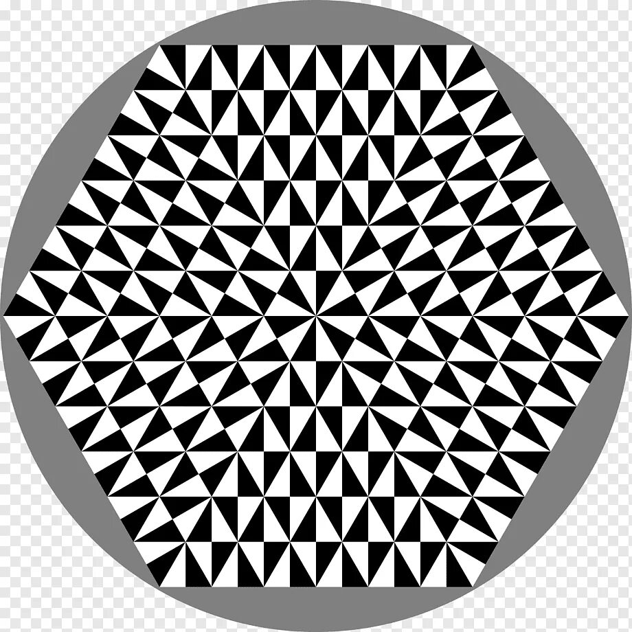 Shape ai