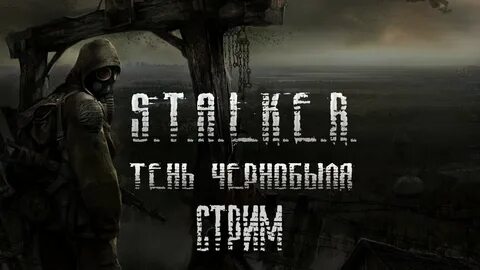 Концы сталкера тени чернобыля