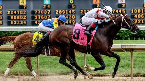 Horse race betting