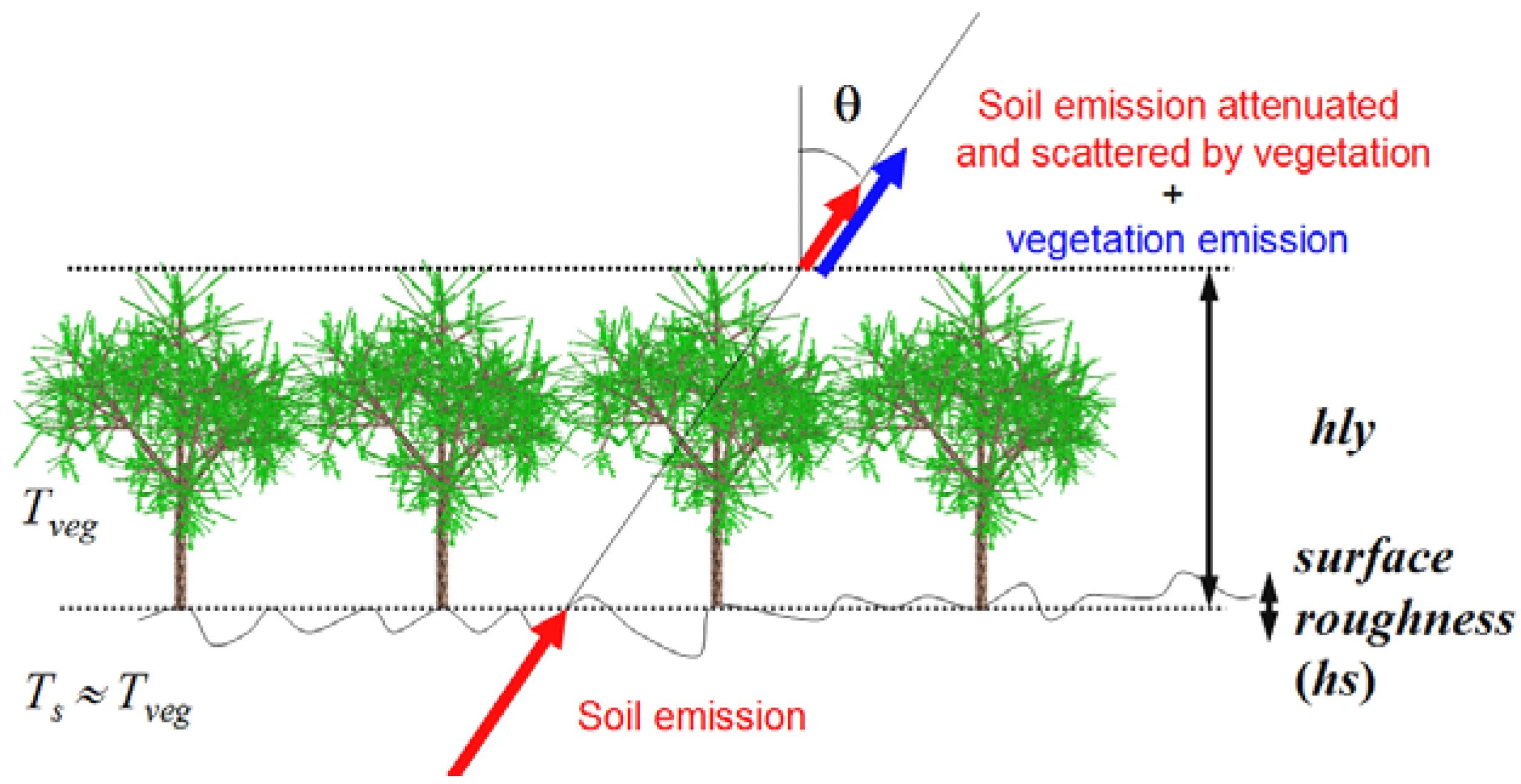 Vegetation and soils. Vegetation and soils