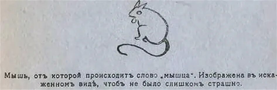 Предложение слово мышь. Предложение со словом мышь. Части слова мыши. Едят ли мыши рис. Рис с мышкой на упаковке.