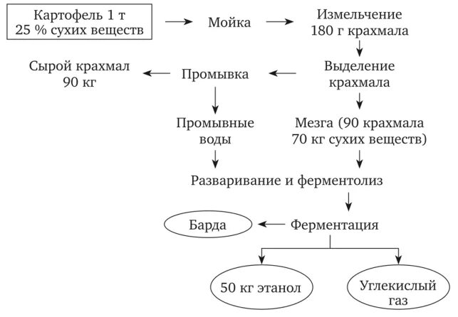 Сырье для самогона картофель. Схема производства спирта из картофеля. Картофель для производства спирта. Картофель для производства спирта. Технологическая схема кукурузного крахмала.