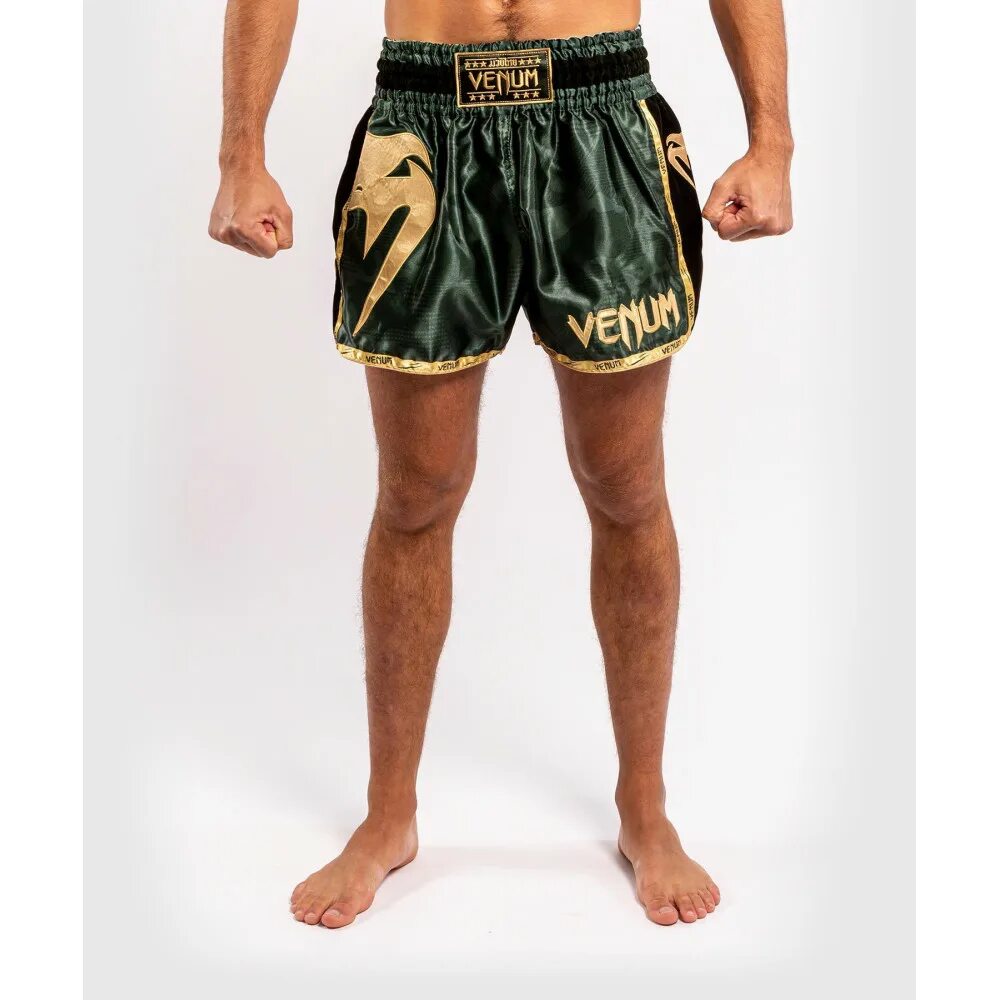 Шорты муай. Шорты Venum Muay Thai. Тайские шорты Venum giant. Шорты для тайского бокса Venum. Шорты Венум для тайского бокса.