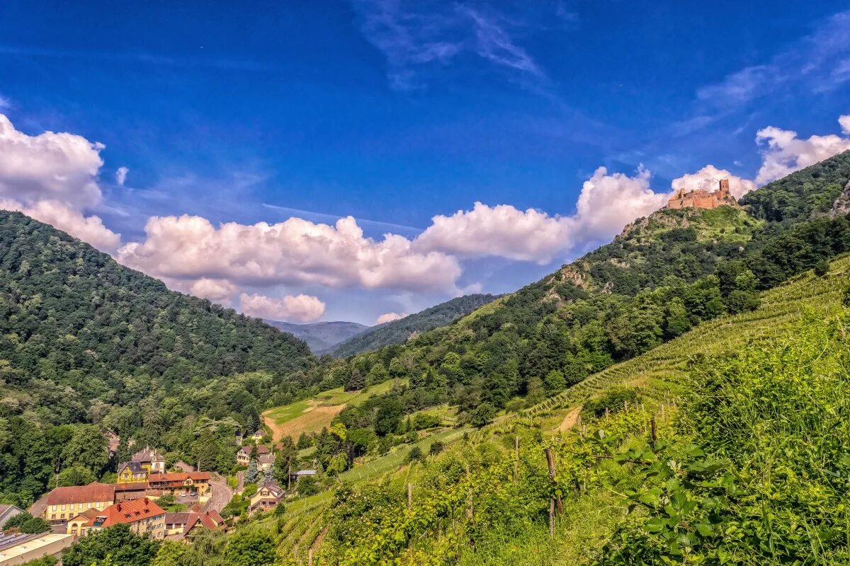 Французские альпы, франция. Вогезы франция фото. Альпы савойя. Горы на востоке франции. Гора монблан во франции.