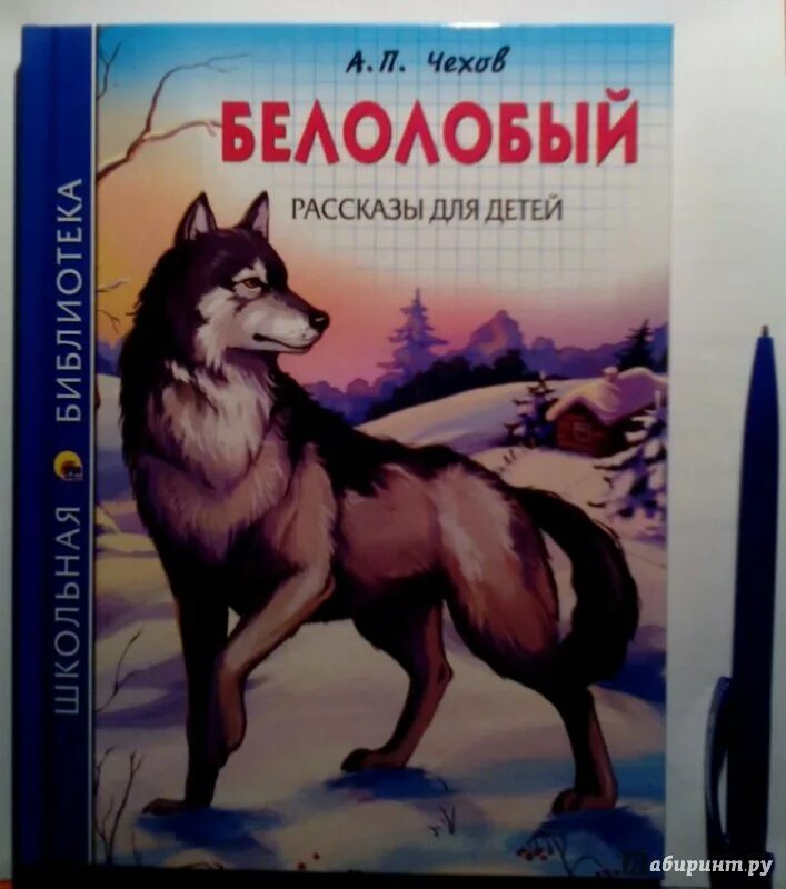 Чехов детям белолобый. Каштанка и белолобый Чехов.