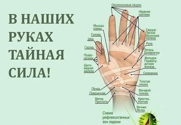 Болит средний палец на правой руке психосоматика. Большой палец левой руки. Акупунктурные точки на внешней стороне ладони. Указательный палец психосоматика правая. Безымянный палец левой руки психосоматика.