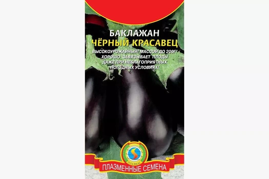 Баклажан черный красавец 0,3гр Гавриш. Сорт перца черный красавец. Баклажан сорт черный красавец. Рассада баклажан сорт черный красавец.