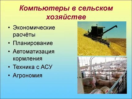 Системы сельскохозяйственного производства