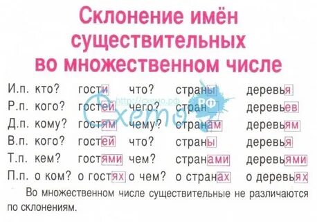Существительное 1 склонения множественного числа