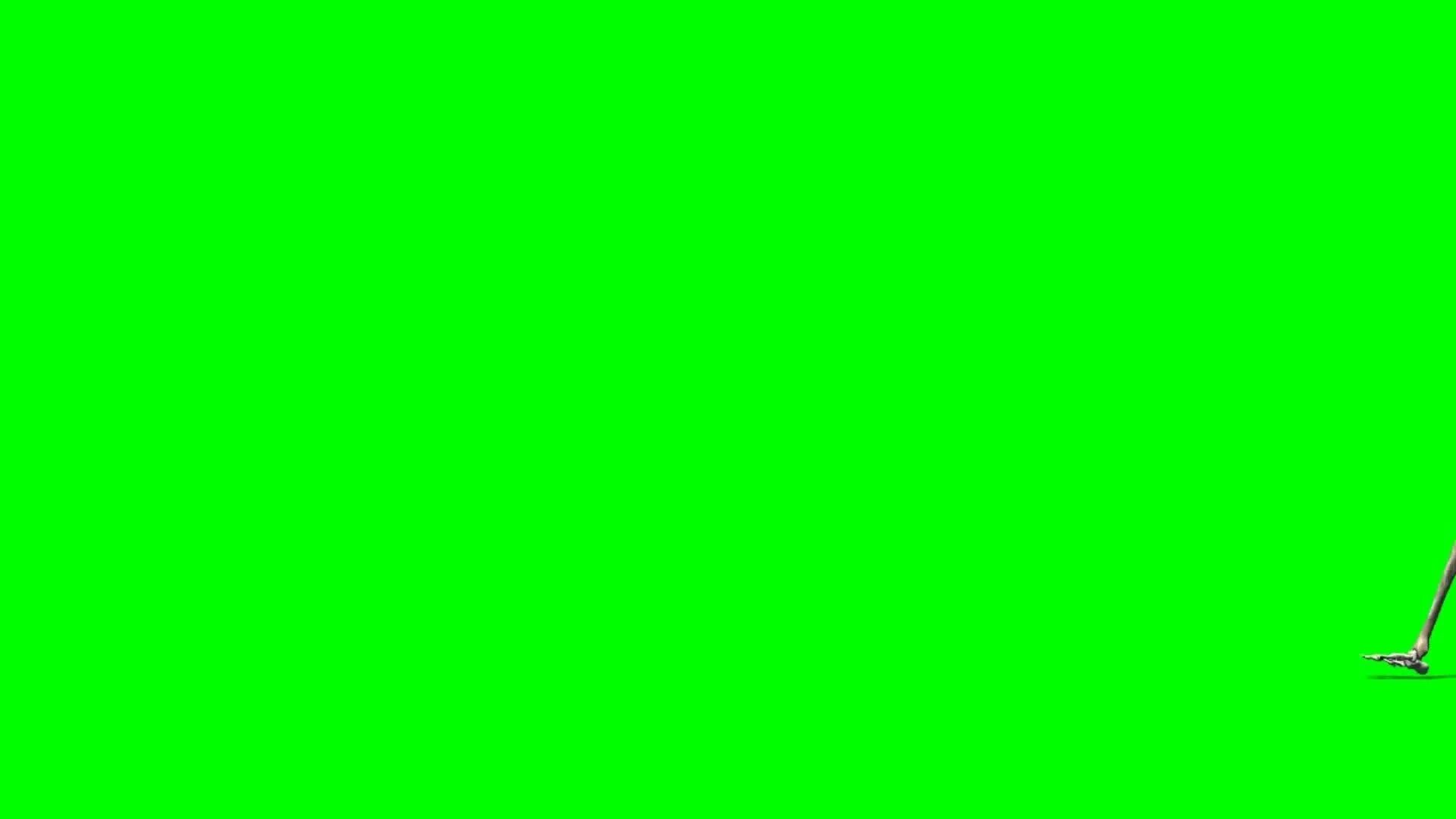 65 Attitude Quotes ideas green screen video backgrounds, logo design video, atti