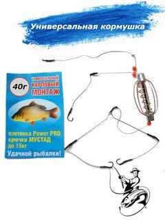 40 рыболов