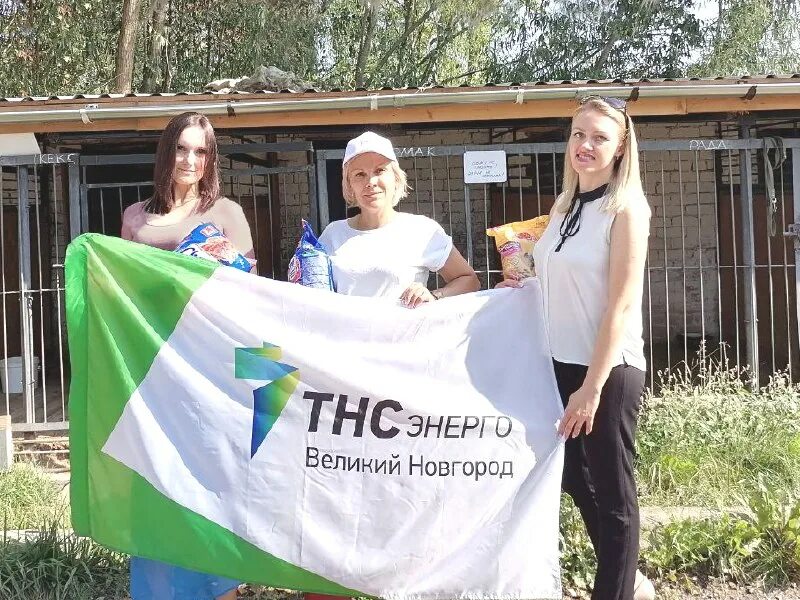 свободы 2 6 великий новгород тнс. тнс-энерго великий новгород. свободы 2 6 великий новгород тнс. тнс энерго гк логотип. ооо тнс энерго великий новгород.