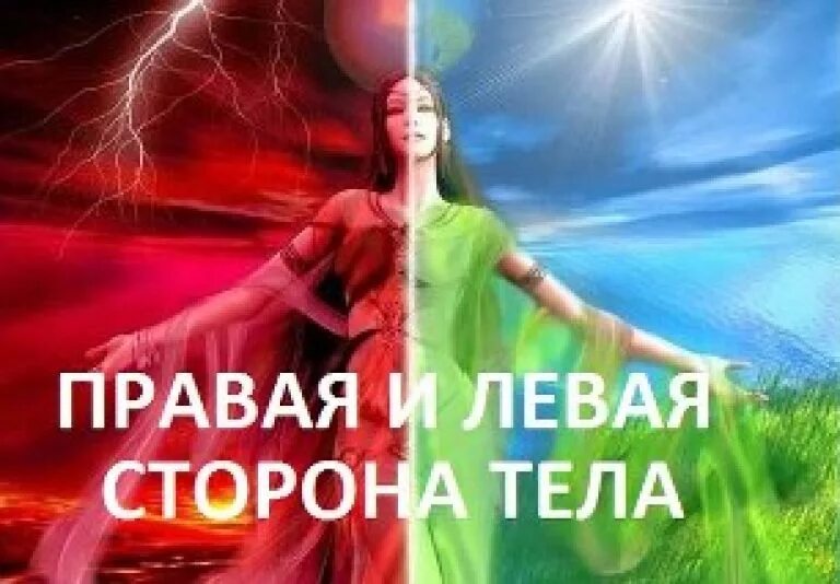 Картография эмоций в мышцах. Левая сторона человека за что отвечает. Левая сторона тела. Правая и левая части тела. Левая сторона тела человека.