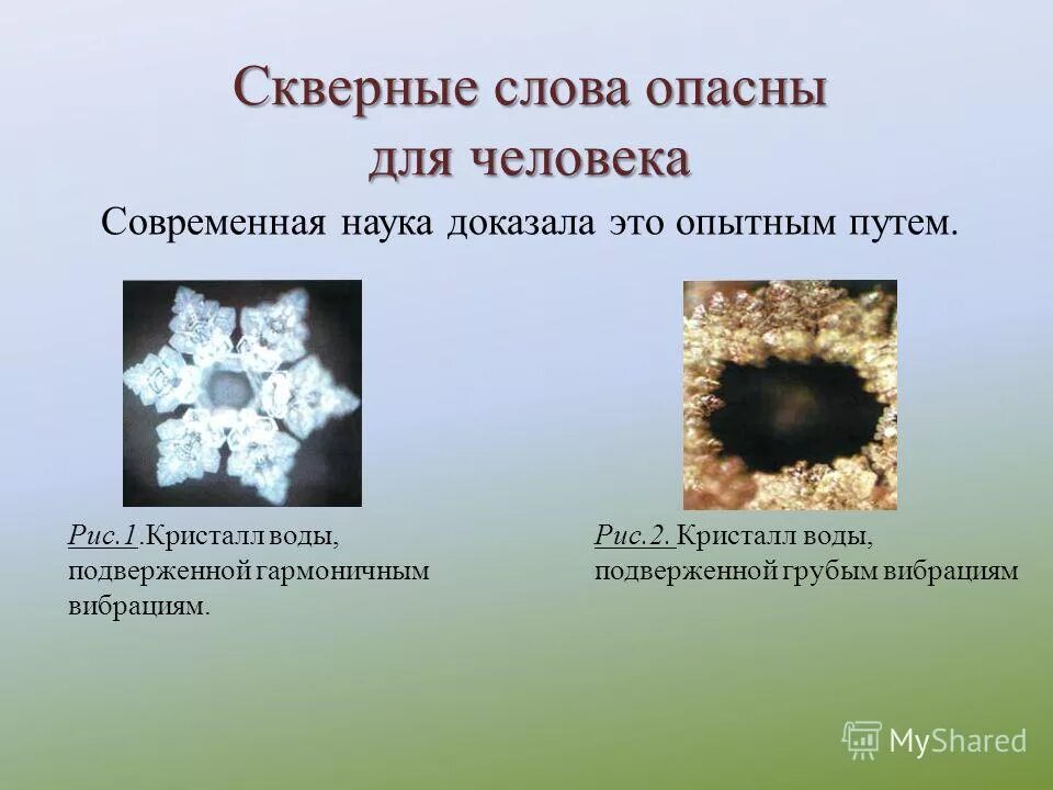 форма кристаллов воды зависит от речи. заклинание призыва. языческое возникновение сквернословия. скверные слова. сквернословие в древности.