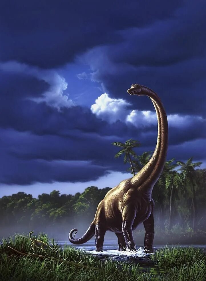 Брахиозавр динозавр. Травоядные динозавры. Травоядный Брахиозавр. Длинношеий Диплодок. Заставка динозавры