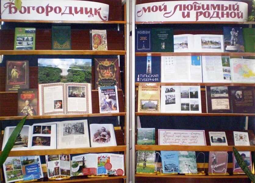 интересные выставки в библиотеке. книжные выставки в библиотеке. выставка о родном крае. выставка родной город. выставка родной город.