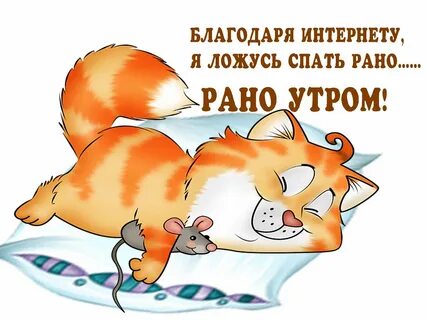 Всем спать смешные картинки