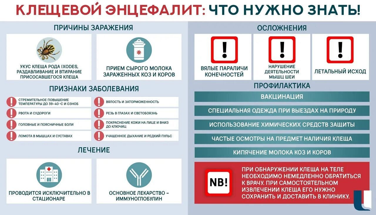 Профилактические меры клещевой энцефалит. Клещевой энцефалит вакцинация. Клещевой энцефалит минздрав. Клещевой энцефалит минздрав. Клещевой энцефалит минздрав.