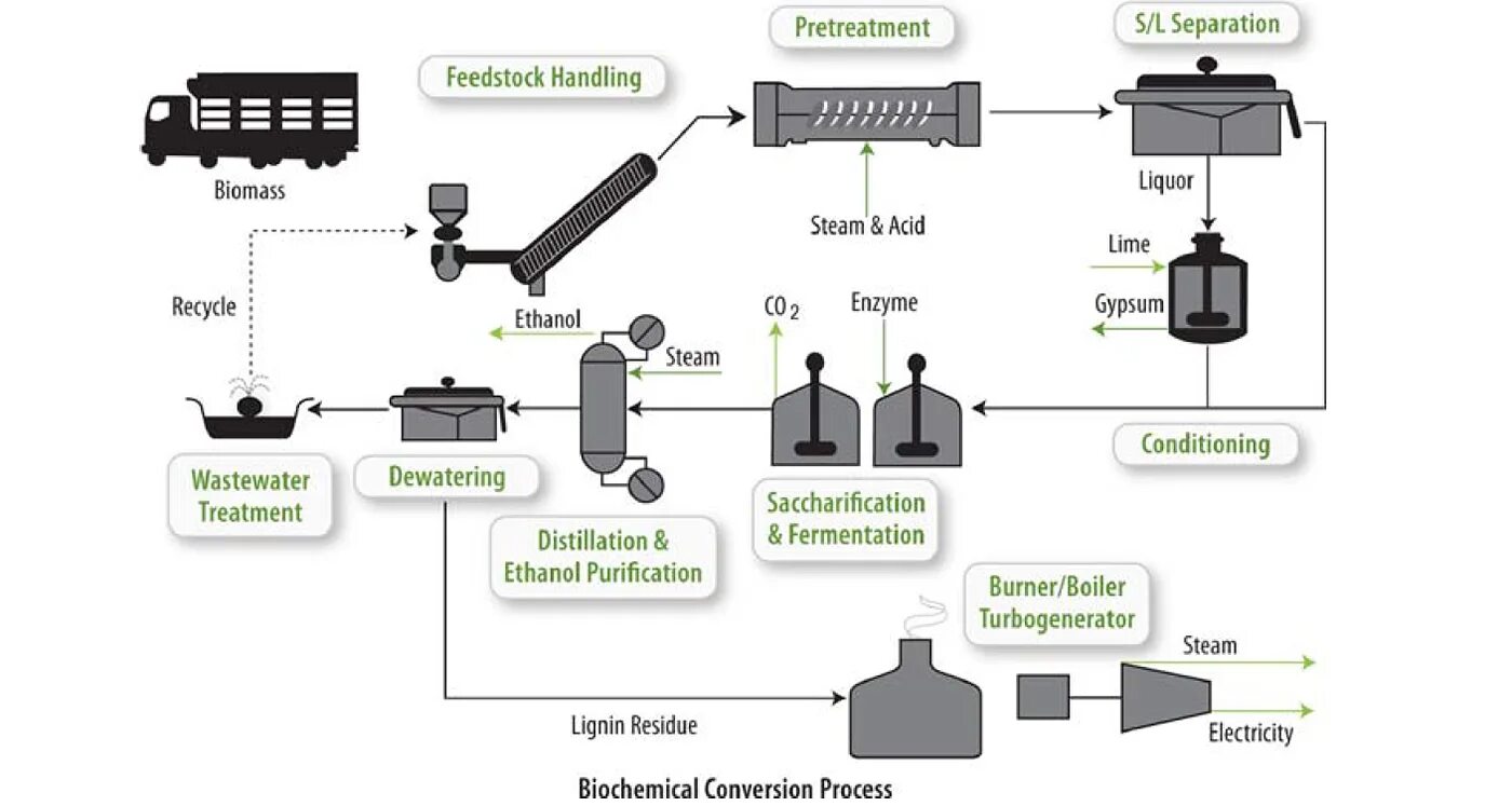 Biomass Conversion. Biomass process. Референс биомасса. Биомасса cerevisiae схема. Conditioning process