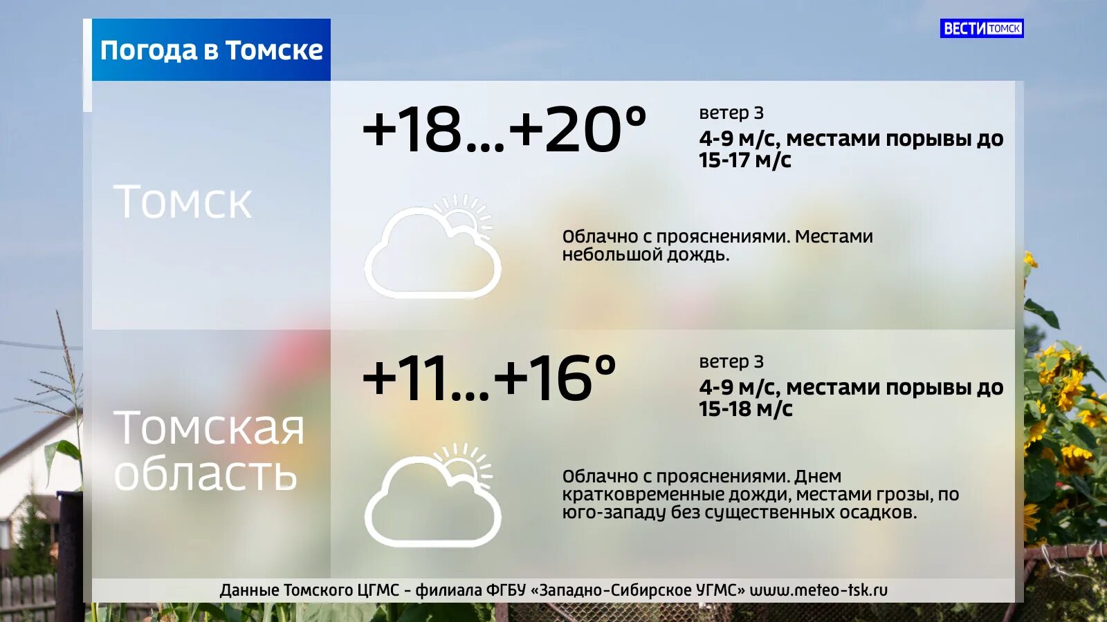 Погода в томске на 14. Погода в Томске. Томск климат. Погода в Томске сегодня. Томск погода Томск.