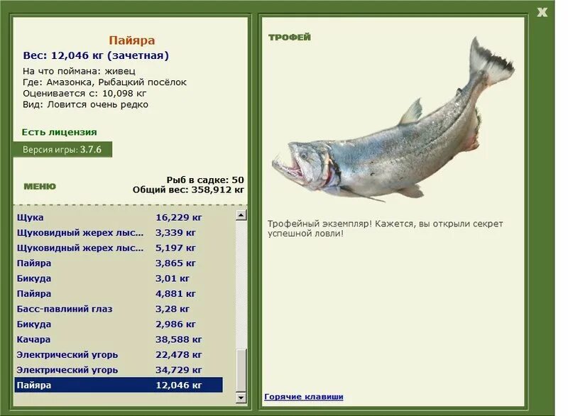 рыбалка 3 амазонка. русская рыбалка 3 bear edition. рр3 99 амазония. рр3 кайман. рр3 форум.