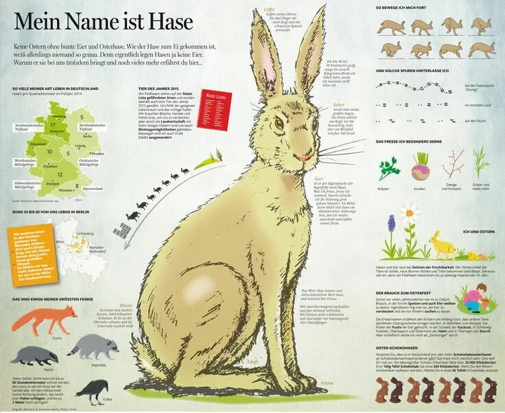 Mein name ist Hase ich Weiß von nichts русский аналог. В немецком языке существует поговорка Mein name ist Hase. Mein name ist Hase, ich Weiß nichts русский аналог. Mein name ist Hase ich Weib von nichts как на русском будет.