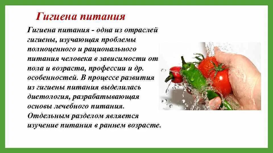 Методы изучения органов пищеварения гигиена питания