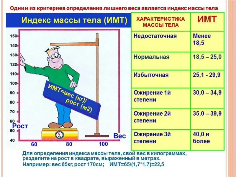 Калькулятор среднего веса. ИМТ. Индекс массы тела. Измерение индекса массы тела. Оценка массы тела человека.