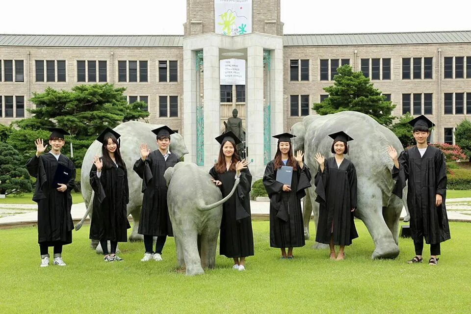 Yonsei факультеты. Донгук университет Корея. Университет коре в Южной Корее. Университет Тонгук Сеул факультеты. Ханьян университет Южная Корея.