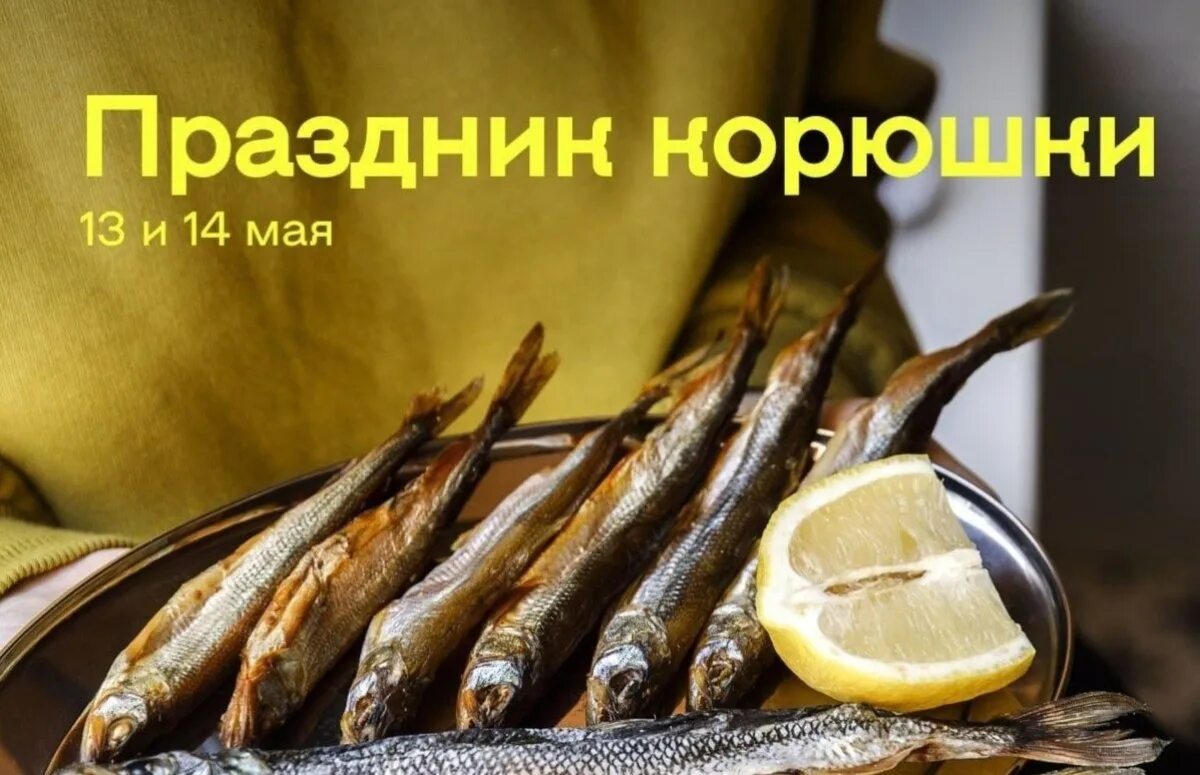 Корюшка в петербурге 2023. Питерская корюшка. Нерест корюшки в спб. Питерская корюшка. Корюшка в петербурге 2023.