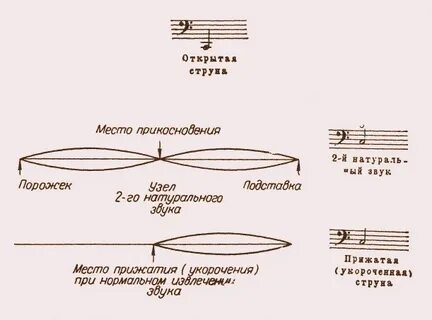 Штрихи на скрипке