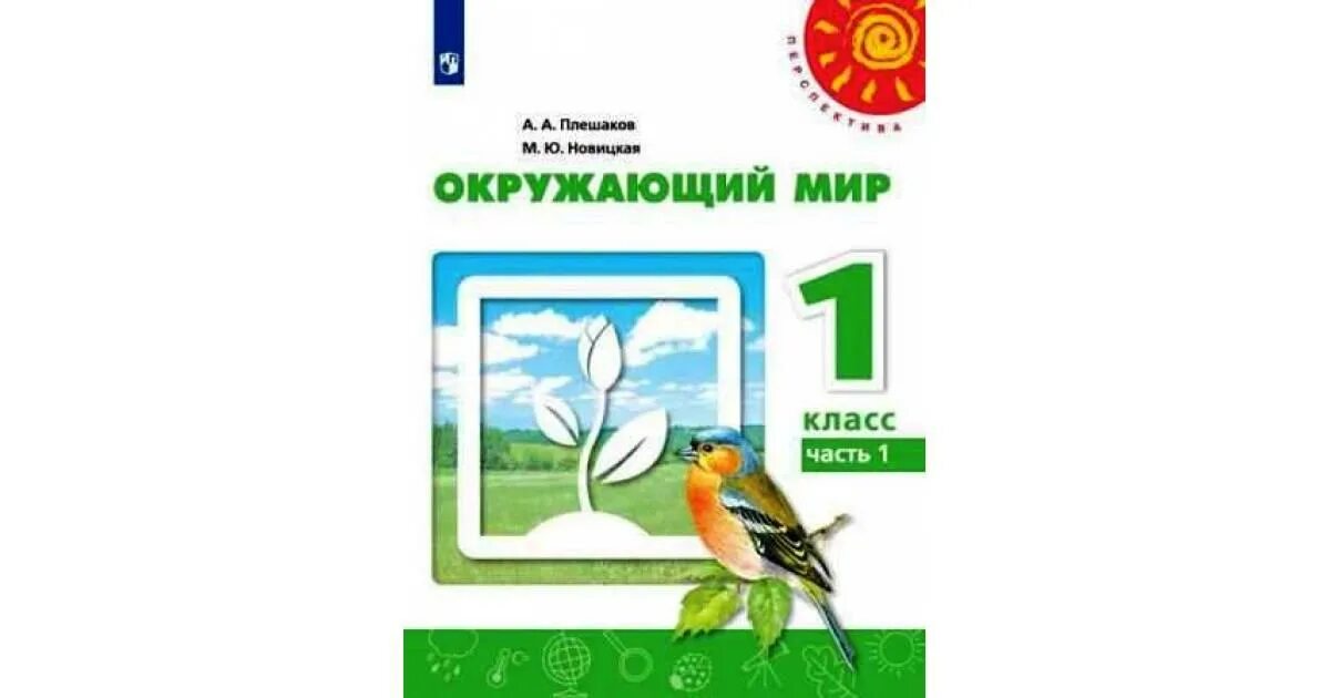 Окружающий мир 1 класс Плешаков Новицкая перспектива. Плешаков Новицкая окружающий мир 1 класс учебник. Окружающий мир. 1 Класс. Плешаков а.а., Новицкая м.ю.. Учебник по окружающему миру Плешаков Новицкая 1 класс 1 часть.