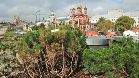 Москва открытые места