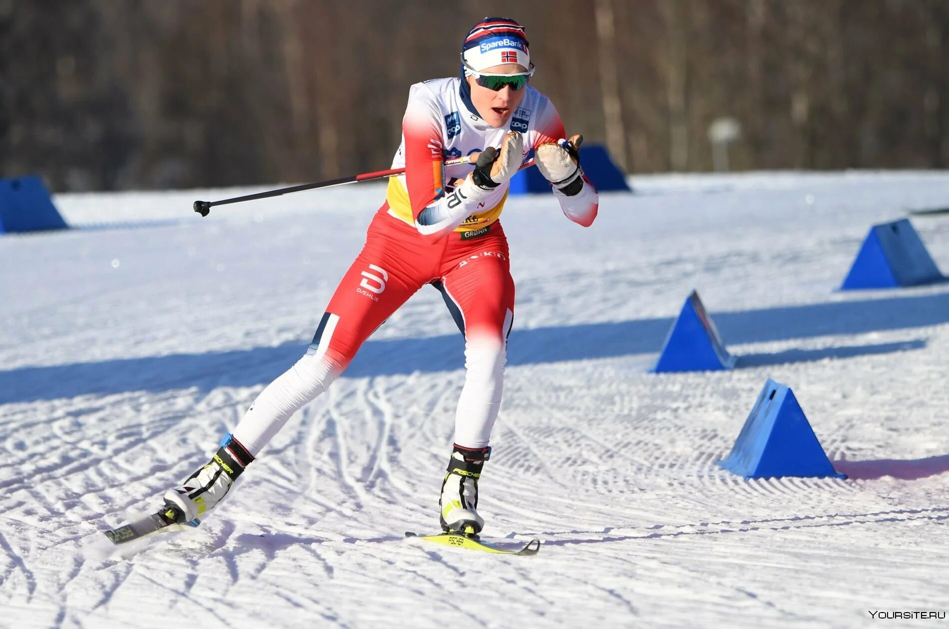 Лыжные гонки чемпионат россии скиатлон женщины