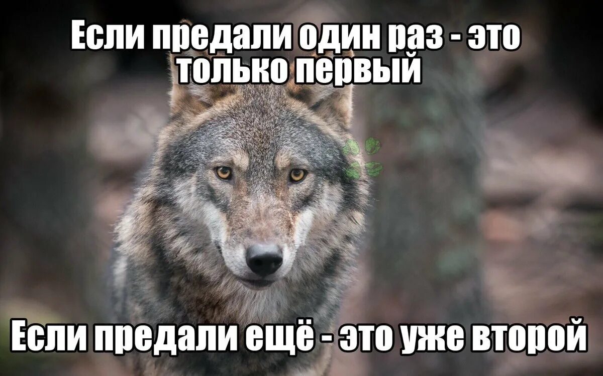 Предавать фрагмент