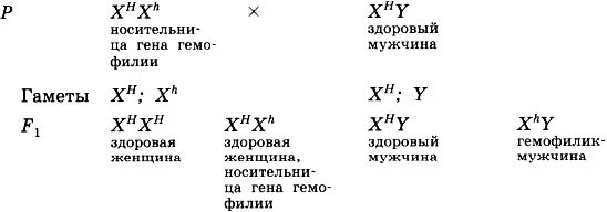 Почему у женщин, имеющих в генотипе ген гемофилии. Почему у женщин имеющихся в генотипе ген гемофилий. Какой генотип имеет женщина носитель Гена гемофилии h. Генотип мужчины гемофилика.