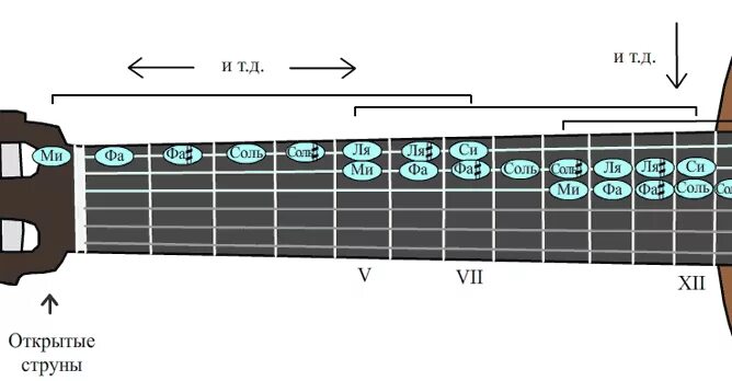 7 нот гитары. Чертёж 5 струнной басгитары. Расположение нот на гитарном грифе. Гитарный гриф схема. Октавы на грифе гитары.