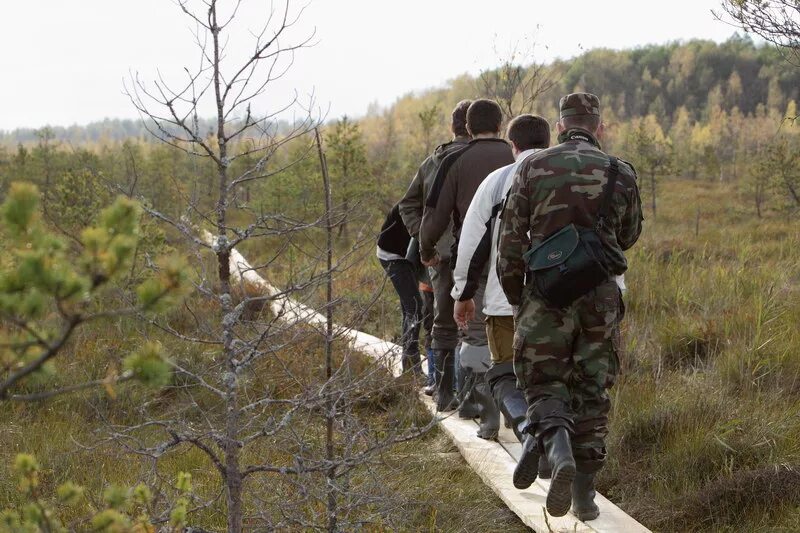 Два свободных места. Плавницкое болото. Экологический туризм в Псковской области. Экологический туризм Волгоградской области. Природный заповедник "Полистовский" экологические маршруты.